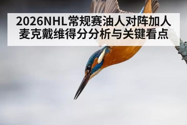 2026NHL常规赛油人对阵加人 麦克戴维得分分析与关键看点